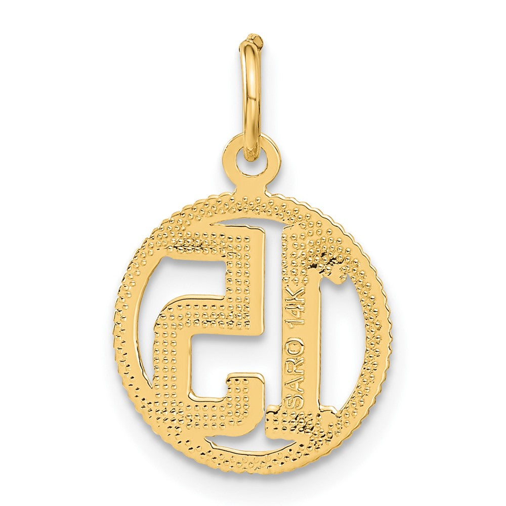 #15 Circle Pendant in 14k Yellow Gold