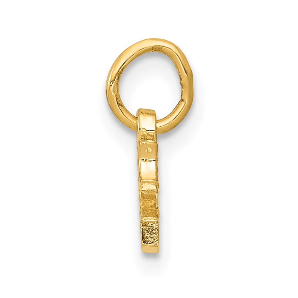 Chinese Symbol Good Luck Charm in 14k Yellow Gold