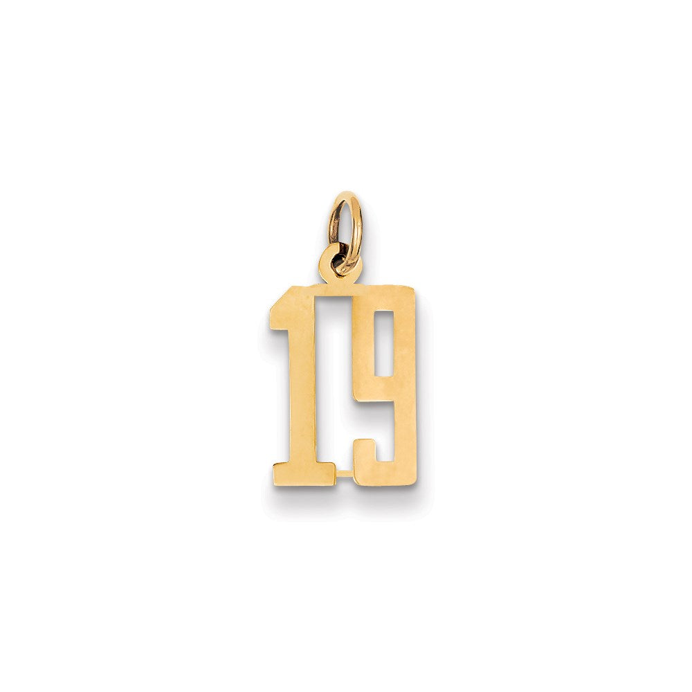 Small Elongated Number 19 Charm in 14k Yellow Gold