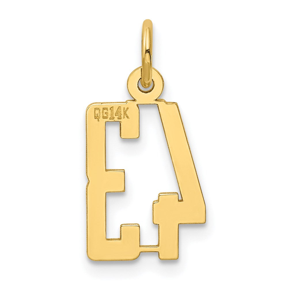 Small Elongated Number 43 Charm in 14k Yellow Gold