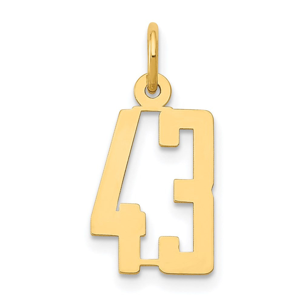 Small Elongated Number 43 Charm in 14k Yellow Gold