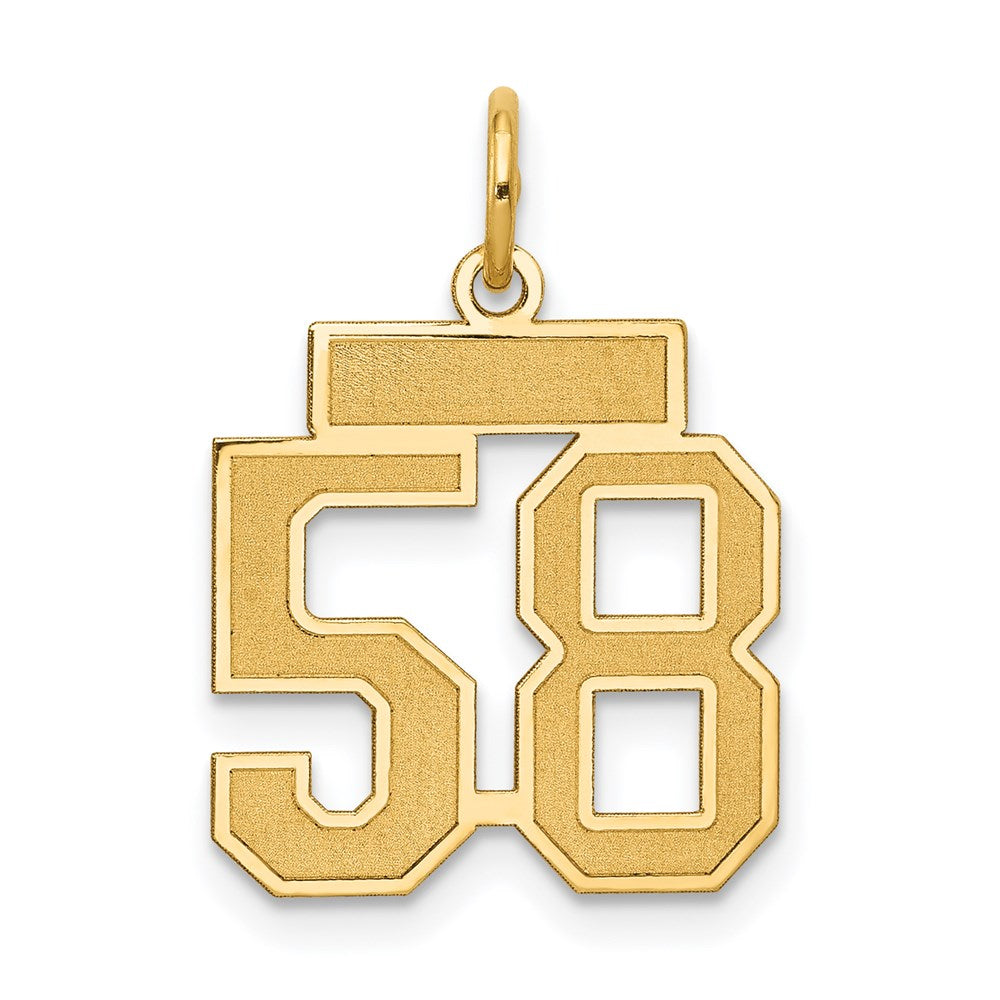 Small Satin Number 58 Charm in 14k Yellow Gold