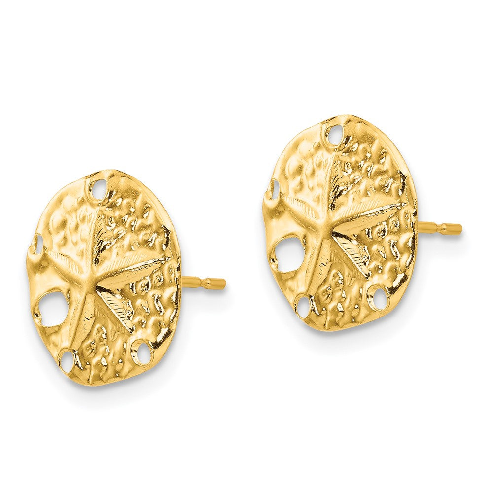 Madi K Sand Dollar Post Earrings in 14k Yellow Gold