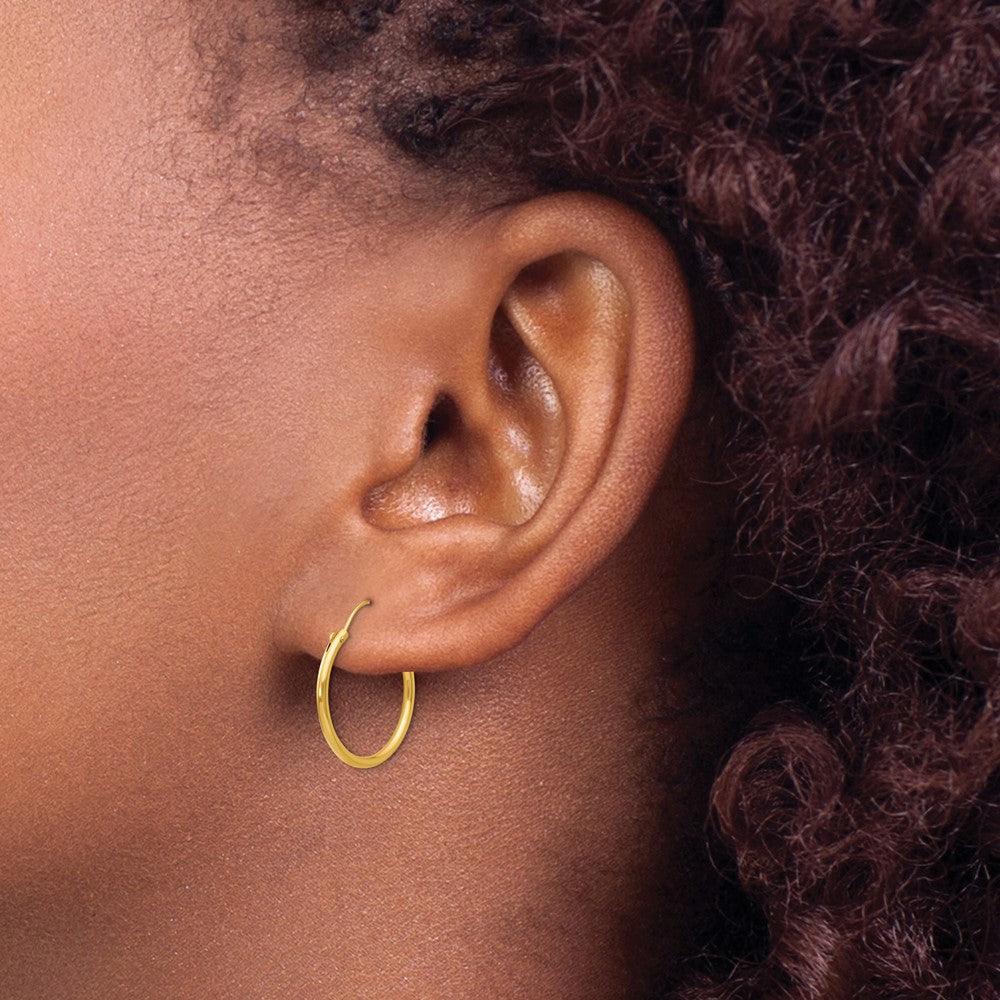 Madi K Hoop Earrings in 14k Yellow Gold