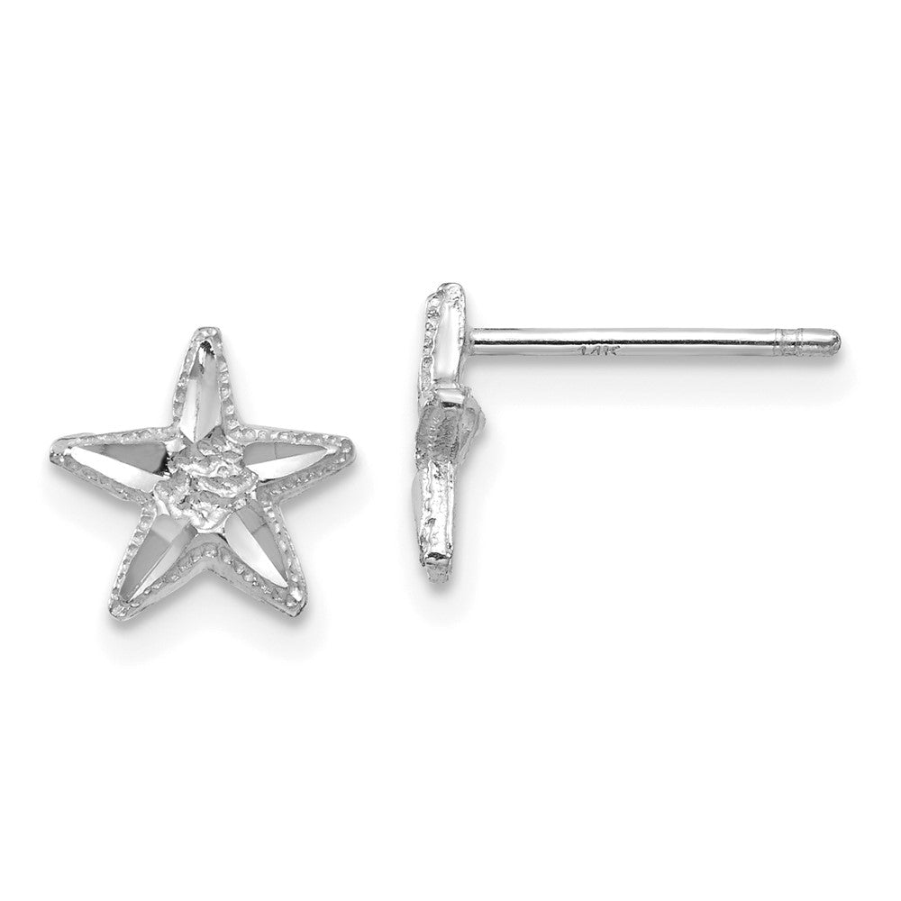 Diamond-cut Starfish Earrings in 14k White Gold