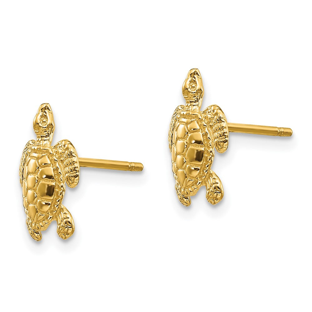 Sea Turtle Post Earrings in 14k Yellow Gold