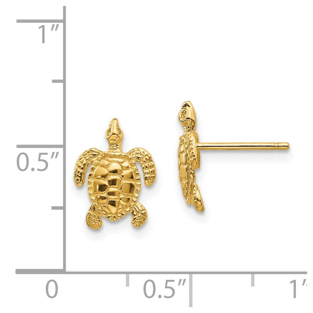 Sea Turtle Post Earrings in 14k Yellow Gold