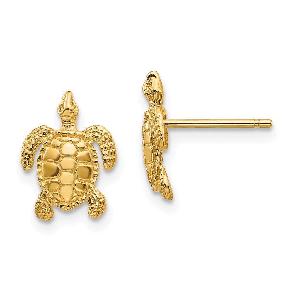 Sea Turtle Post Earrings in 14k Yellow Gold