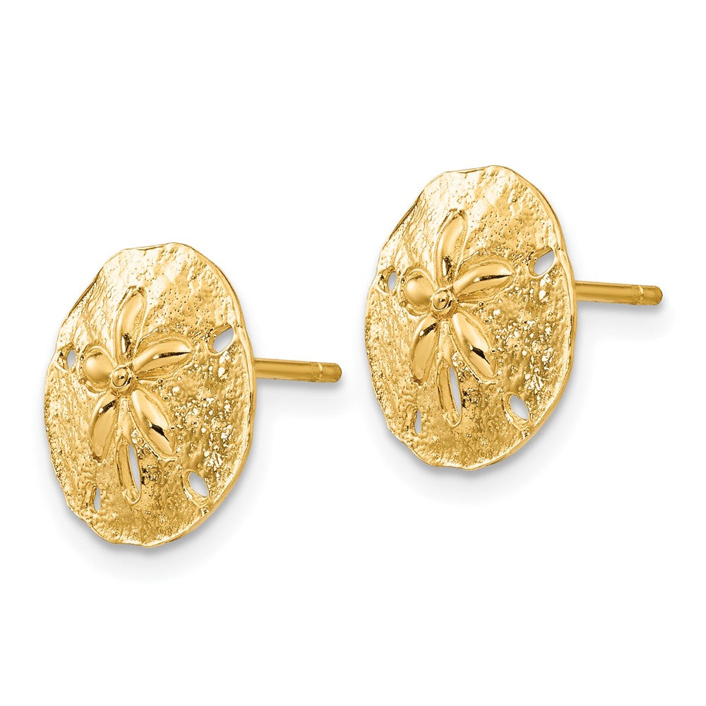 Sand Dollar Post Earrings in 14k Yellow Gold