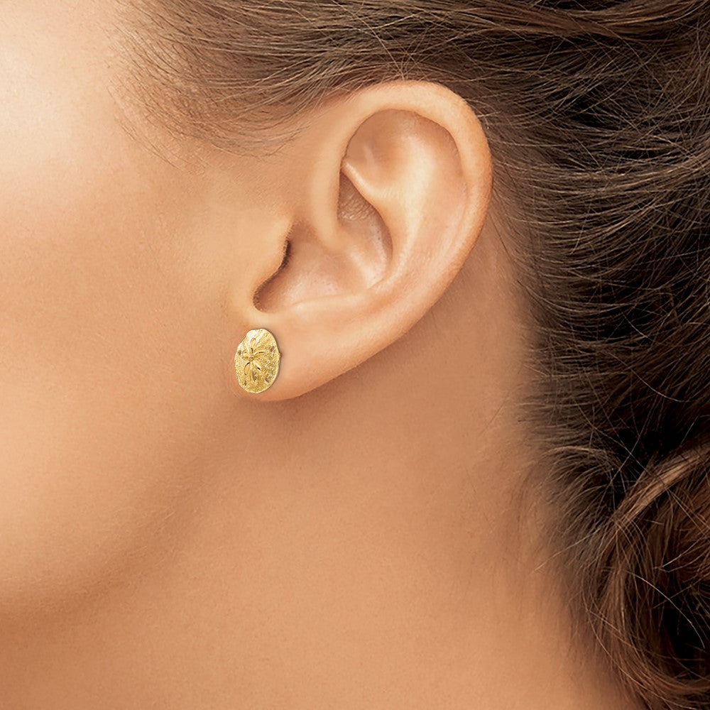 Sand Dollar Post Earrings in 14k Yellow Gold