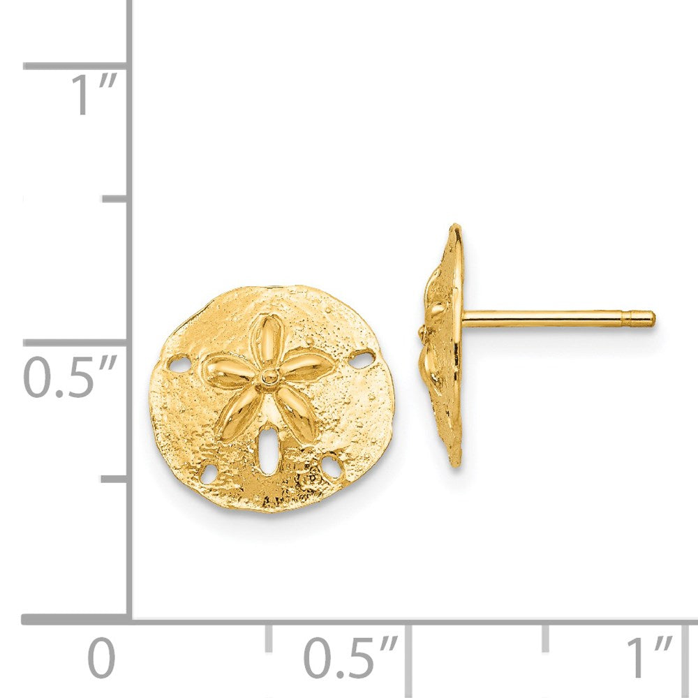 Sand Dollar Post Earrings in 14k Yellow Gold
