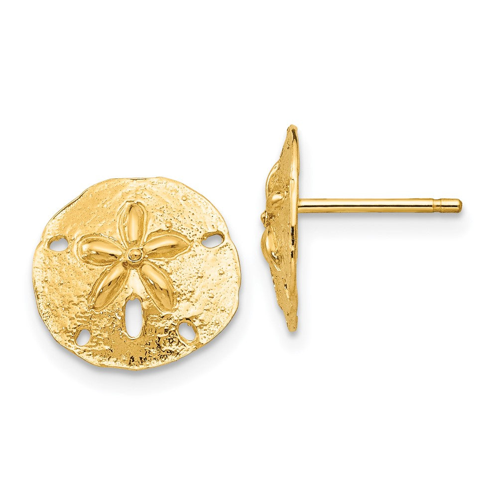 Sand Dollar Post Earrings in 14k Yellow Gold