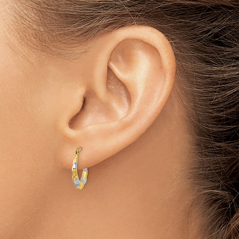 Hollow Bamboo Hoop Earrings in Rhodium-Plated 14k Yellow Gold