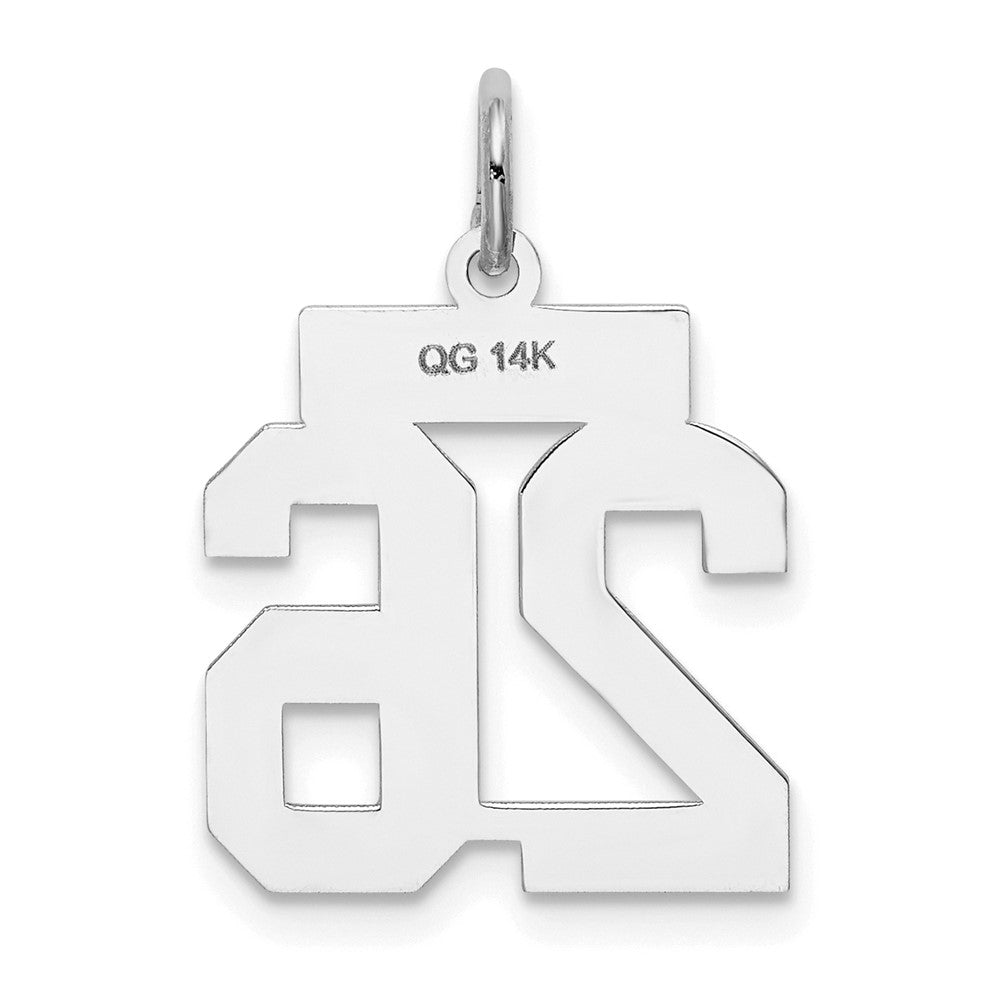 14kw Small Satin Number 26 Charm in 14k White Gold