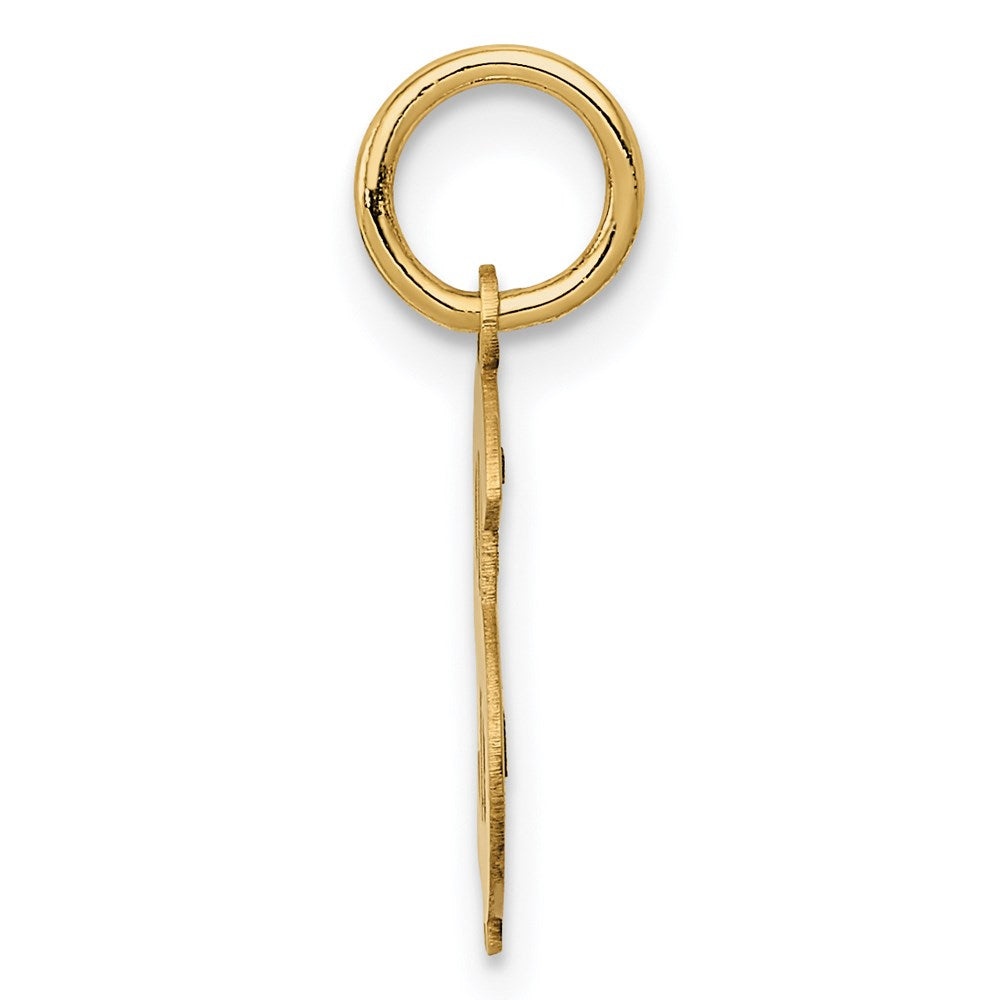 Polished Dollar Sign Charm in 14k Yellow Gold