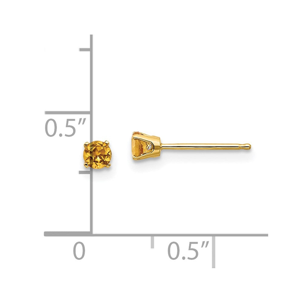 3mm November/Citrine Post Earrings in 14k Yellow Gold