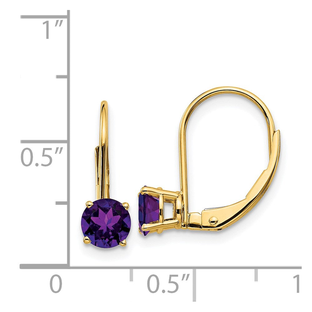 5mm Amethyst Leverback Earrings in 14k Yellow Gold