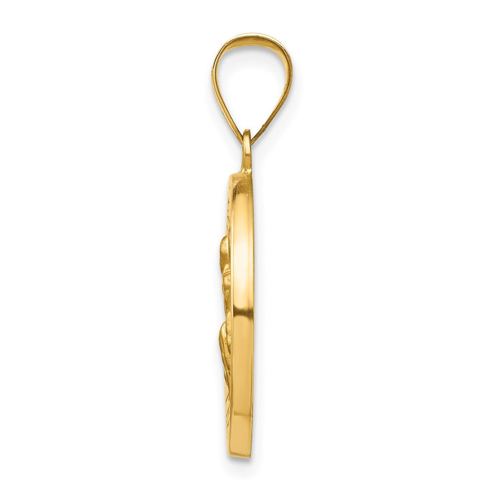 Polished & Satin St Peregrine Medal Hollow Pendant in 14k Yellow Gold