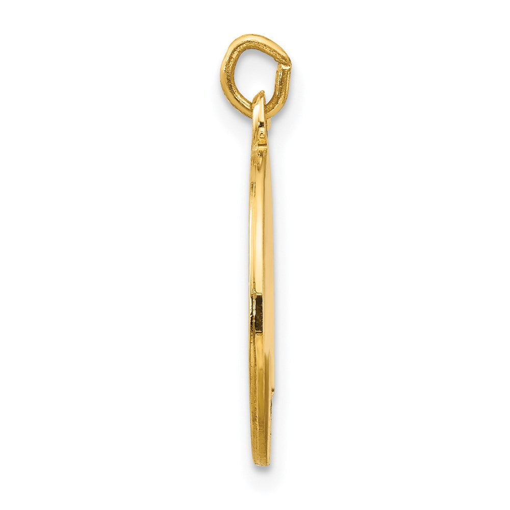 Saint Luke Medal Charm in 14k Yellow Gold