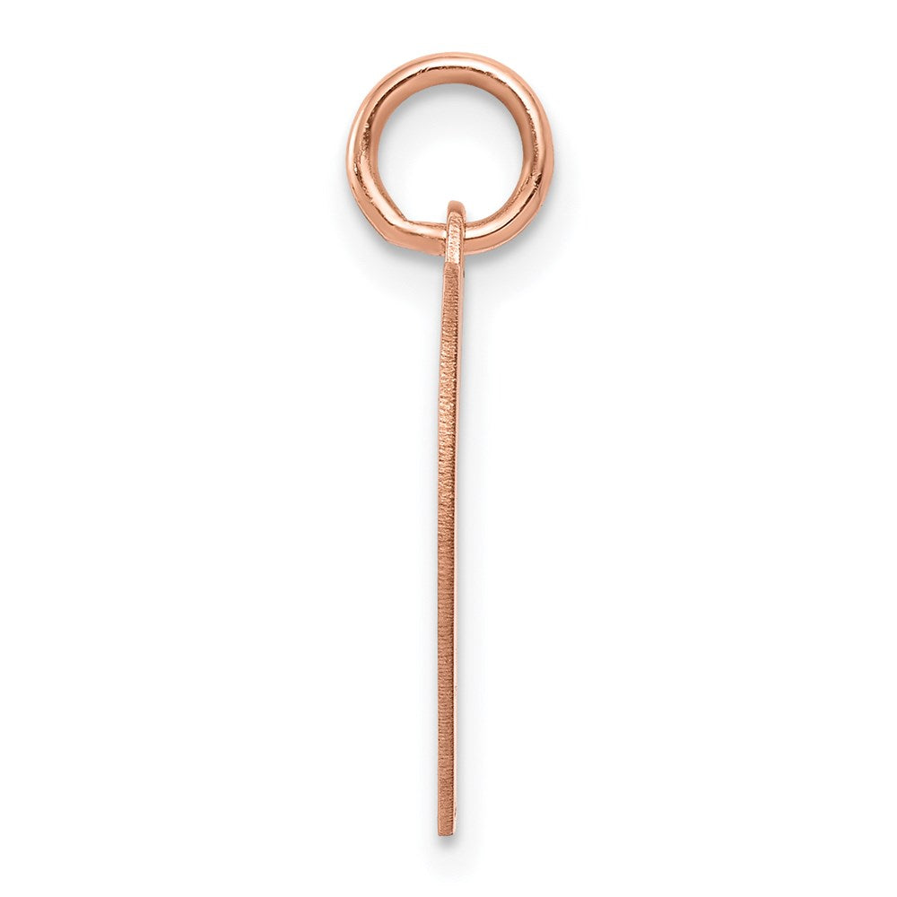 Heart Disc Charm in 14k Rose Gold