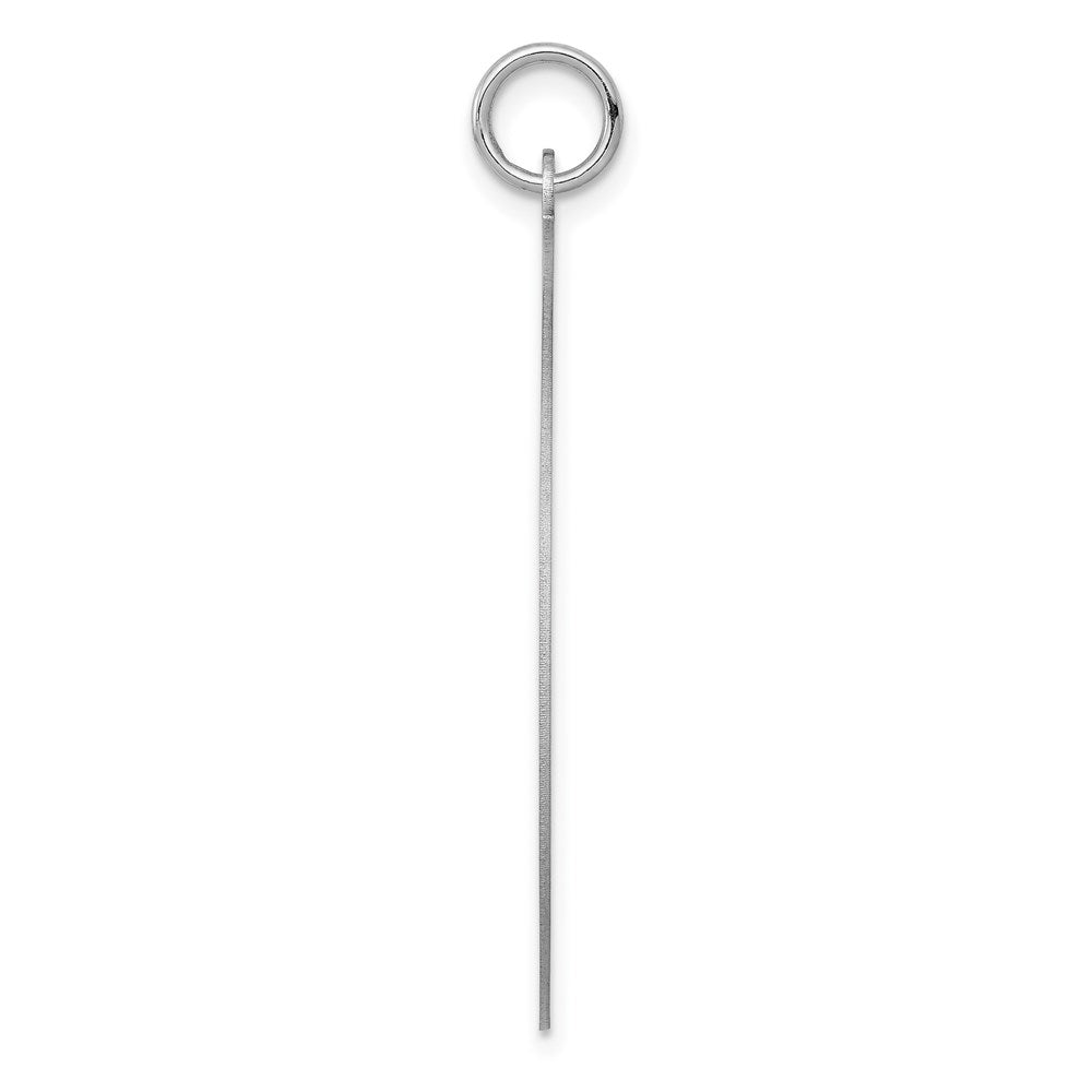 Round Disc Charm in 14k White Gold