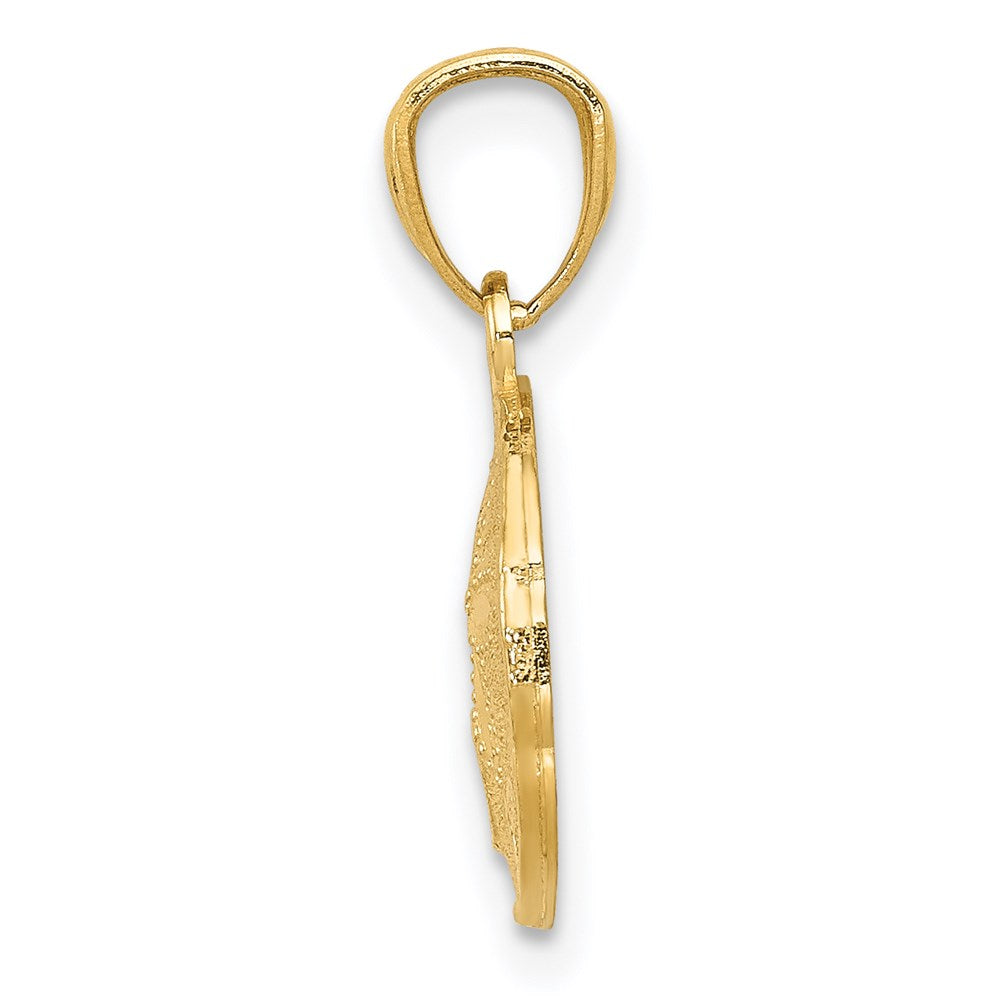 14k Gold Polished & Textured Sand Dollar Pendant