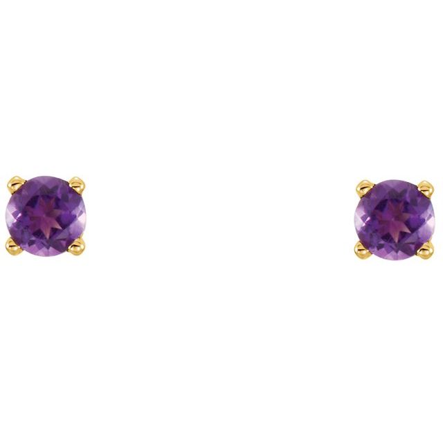 Round Natural Amethyst Youth Earrings