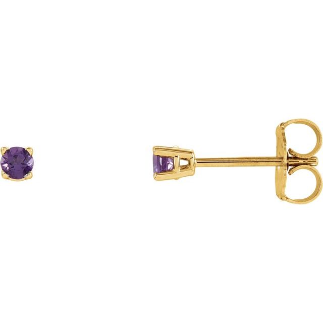 Round 2.5mm Natural Amethyst Stud Earrings