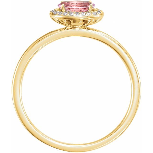 6x4mm Natural Morganite & .04 CTW Natural Diamond Halo-Style Ring